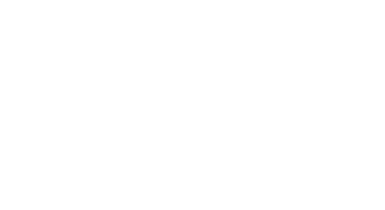 No.9 Caerleon logo